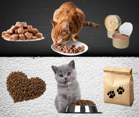 Γάτες - Ξηρά ή Υγρή Τροφή?