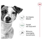 Royal Canin Mini Adult 8+ 2kg