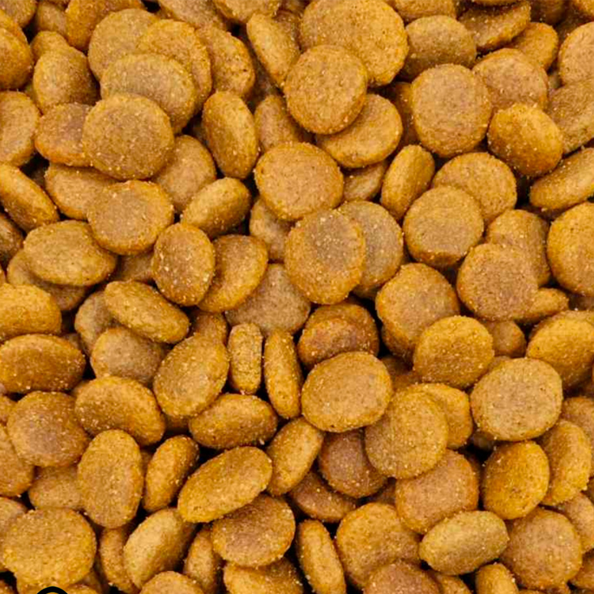 1 Reflex Plus Medium/Large Senior Dog with Lamb & Rice (με Αρνί & Ρύζι) (Χύμα - τιμή/kg) - Image 1