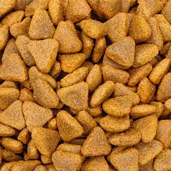 Reflex Plus Dog Adult Medium/Large Lamb & Rice Ξηρά Τροφή Για Σκύλους Αρνί & Ρύζι (Χύμα - τιμή/kg)