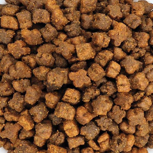 Sanabelle Kitten Ξηρά Τροφή για Μωρά Γατάκια (Χύμα - τιμή/kg)