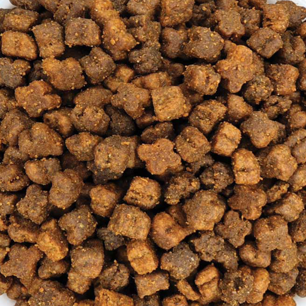 1 Sanabelle Kitten Ξηρά Τροφή για Μωρά Γατάκια (Χύμα - τιμή/kg) - Image 1