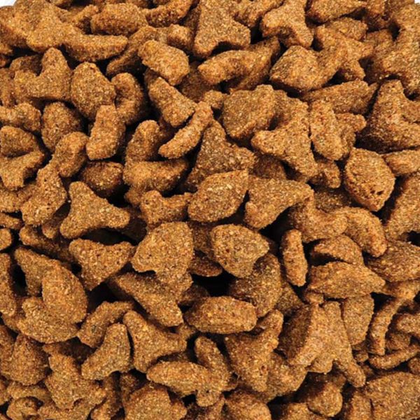 Avenal Adult Cat with Chicken (Κοτόπουλο) (Χύμα - τιμή/kg)