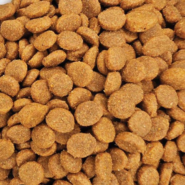 Avenal Adult Cat with Fish (Ψάρι) (Χύμα - τιμή/kg)