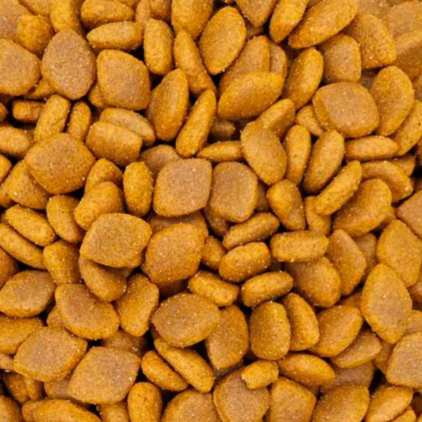 Reflex Plus Dog Adult Medium/Large High Energy Beef Ξηρά Τροφή Για Σκύλους Βοδινό (Χύμα - τιμή/kg)