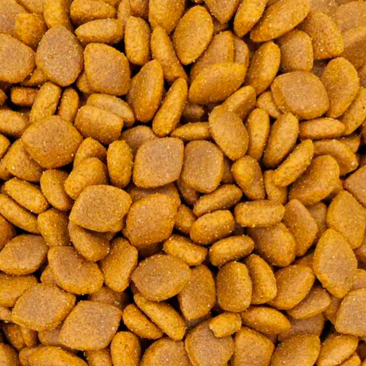 1 Reflex Plus Dog Adult Medium/Large High Energy Beef Ξηρά Τροφή Για Σκύλους Βοδινό (Χύμα - τιμή/kg) - Image 1