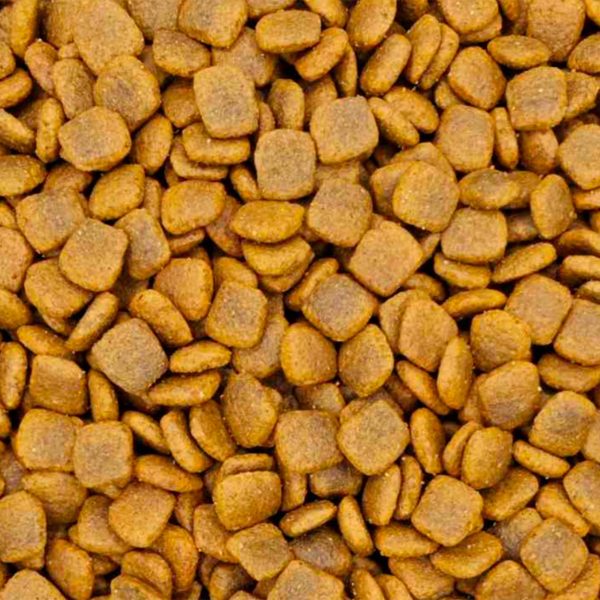 Reflex Plus Dog Adult Medium/Large Light & Sterilised Lamb Ξηρά Τροφή Για Σκύλους Αρνί (Χύμα - τιμή/kg)