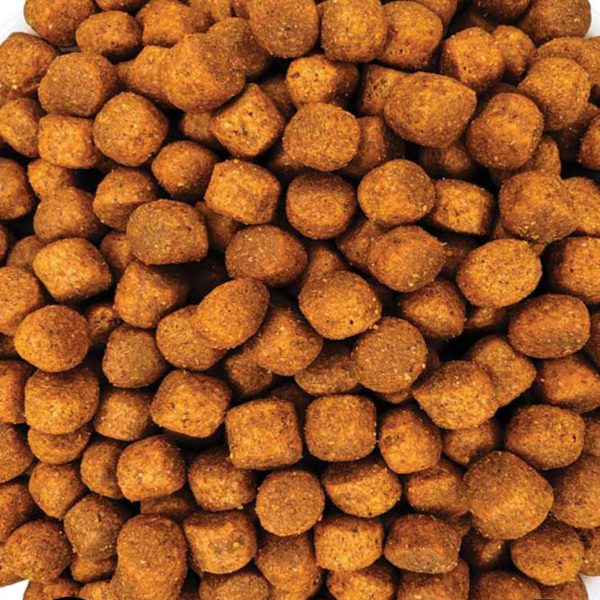 Reflex Plus Adult Cat Sterilised with Chicken (με Κοτόπουλο) (Χύμα - τιμή/kg)