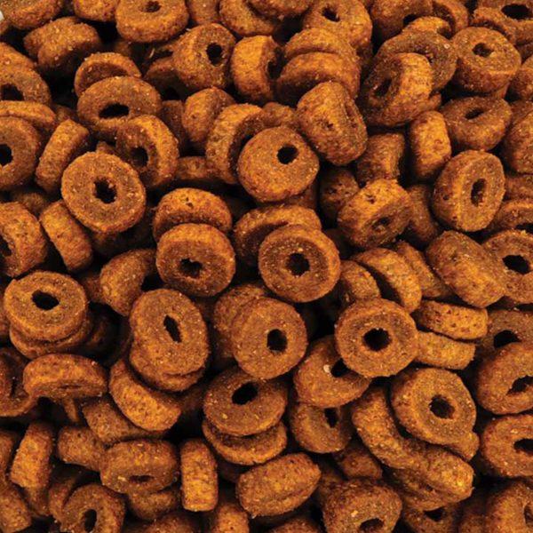 Reflex Adult Cat (Monochrome) Chicken (με Κοτόπουλο - Μονόχρωμη) (Χύμα - τιμή/kg)