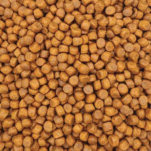 Reflex Plus Medium/Large Junior Dog with Lamb & Rice (με Αρνί & Ρύζι) (Χύμα - τιμή/kg)