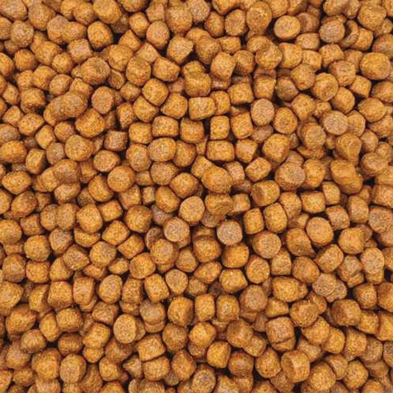Reflex Plus Medium/Large Junior Dog with Lamb & Rice (με Αρνί & Ρύζι) (Χύμα - τιμή/kg)