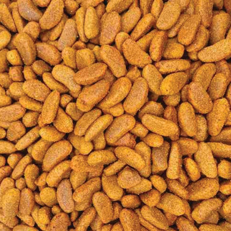 Reflex Plus Medium/Large Adult Dog with Salmon (με Σολομό) (Χύμα - τιμή/kg)