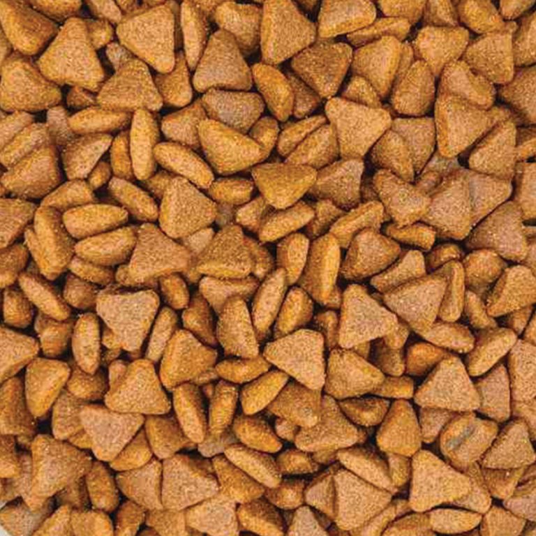 Reflex Plus Medium/Large Adult Dog with Lamb & Rice (με Αρνί & Ρύζι) (Χύμα - τιμή/kg)
