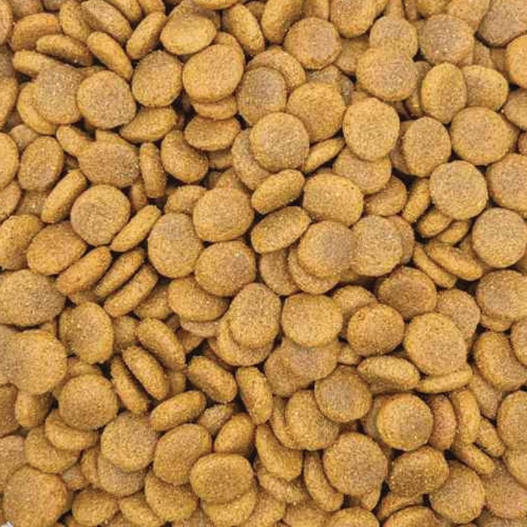 Reflex Plus Medium/Large Senior Dog with Lamb & Rice (με Αρνί & Ρύζι) (Χύμα - τιμή/kg)