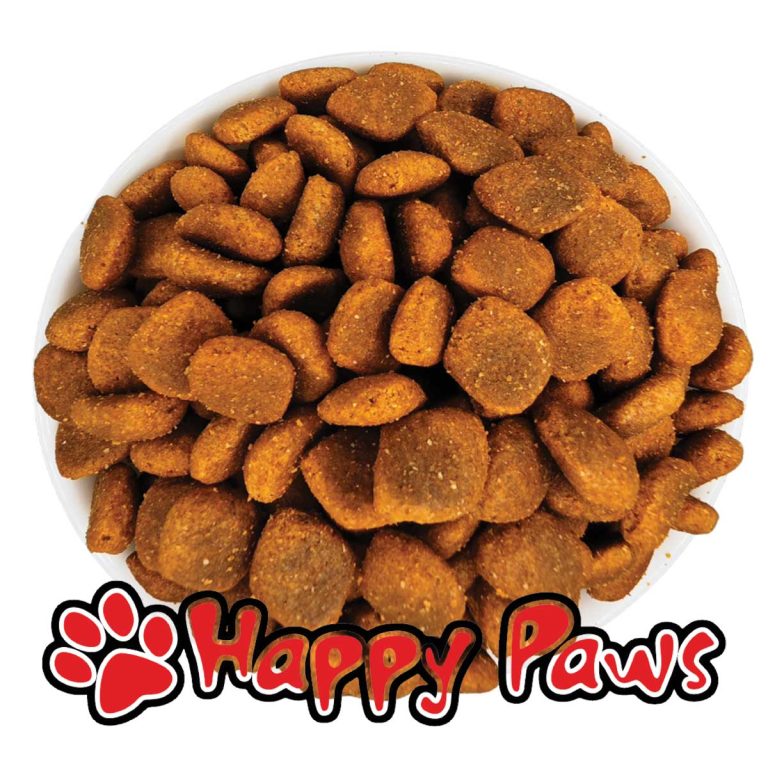 Reflex Plus Medium/Large Adult Dog High Energy with Beef (με Βοδινό) (Χύμα - τιμή/kg)