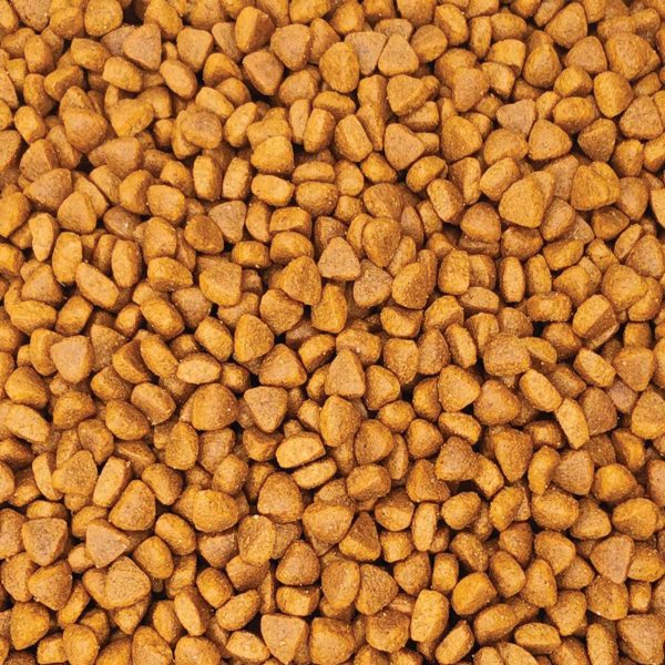 Reflex Plus Kitten Cat with Chicken (με Κοτόπουλο) (Χύμα - τιμή/kg)