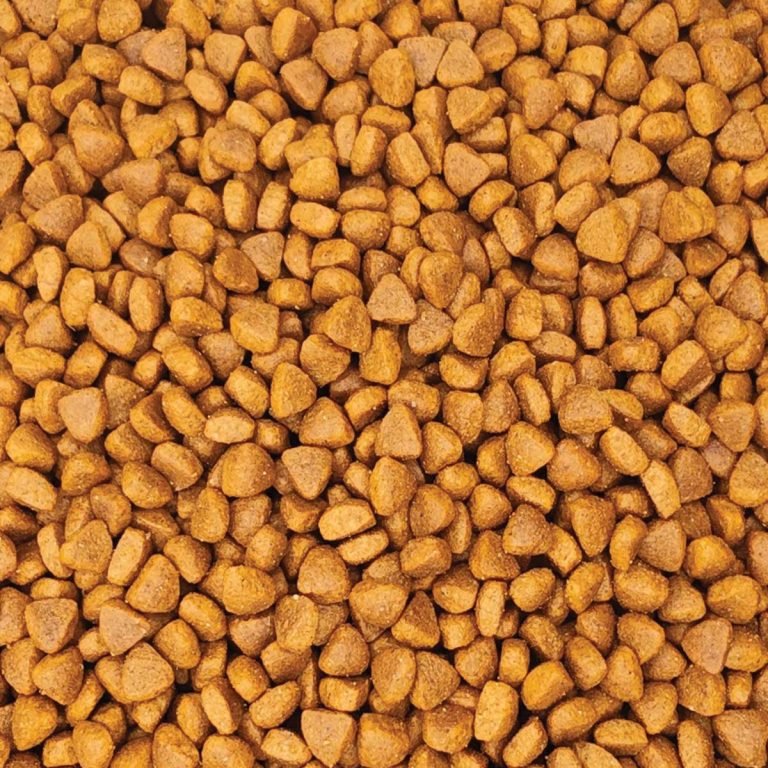 Reflex Plus Kitten Cat with Chicken (με Κοτόπουλο) (Χύμα - τιμή/kg)