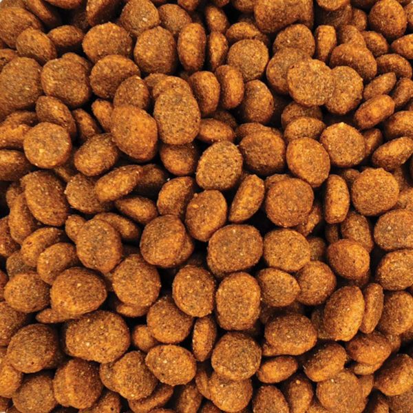 Reflex Plus Adult Cat Urinary with Chicken (με Κοτόπουλο) (Χύμα - τιμή/kg)