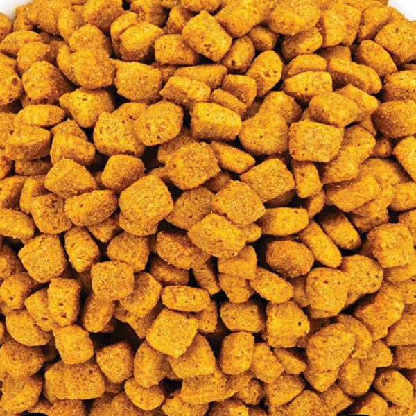 Super Premium Food for Sterilised Digestive Support Cat with Chicken (Κοτόπουλο) (Χύμα - τιμή/kg)