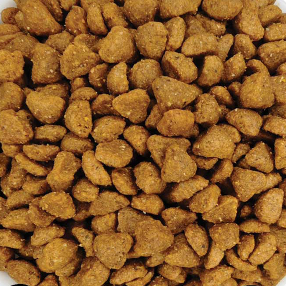 1 Big One Cat Adult Sterilised Chicken (Κοτόπουλο) (Χύμα - τιμή/kg) - Image 1