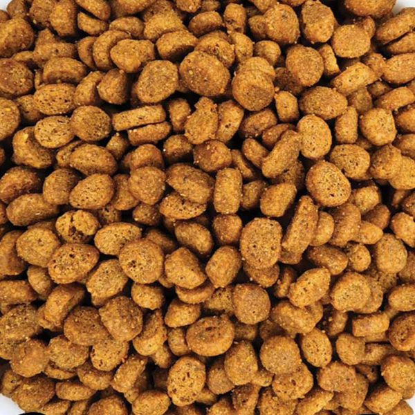 Super Premium Kitten Cat Food with Chicken & Rice (Γατάκια - με Κοτόπουλο & Ρύζι) (Χύμα - τιμή/kg)