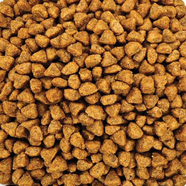 Meow Kitten Cat with Chicken (Γατάκια - με Κοτόπουλο) (Χύμα - τιμή/kg)