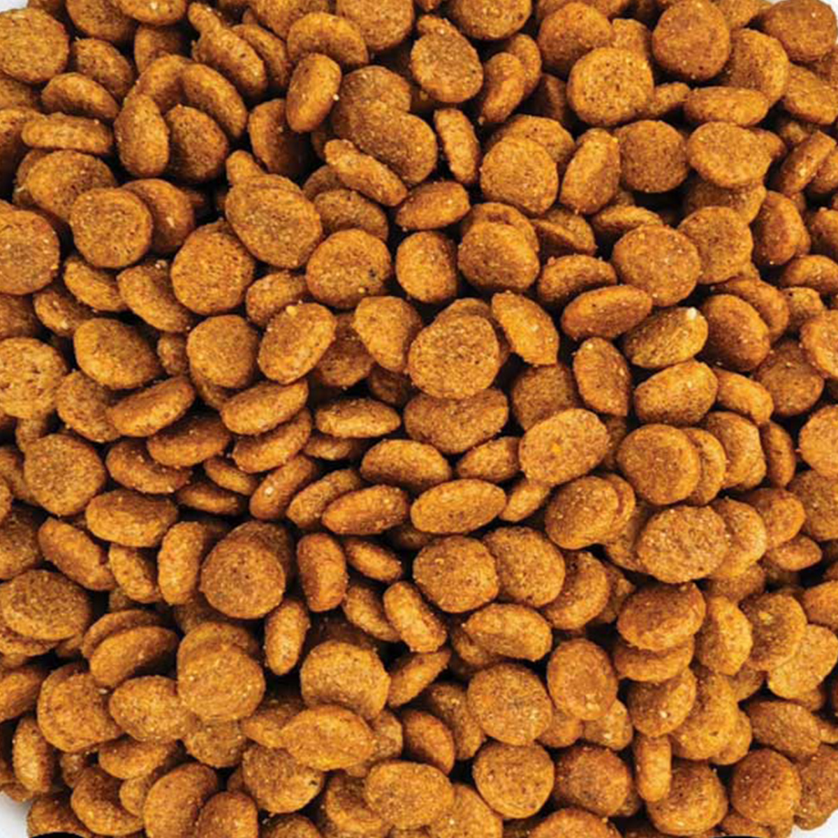 1 Maya Family Kedis Kitten Cat Chicken (Γατάκια - με Κοτόπουλο) (Χύμα - τιμή/kg) - Image 1