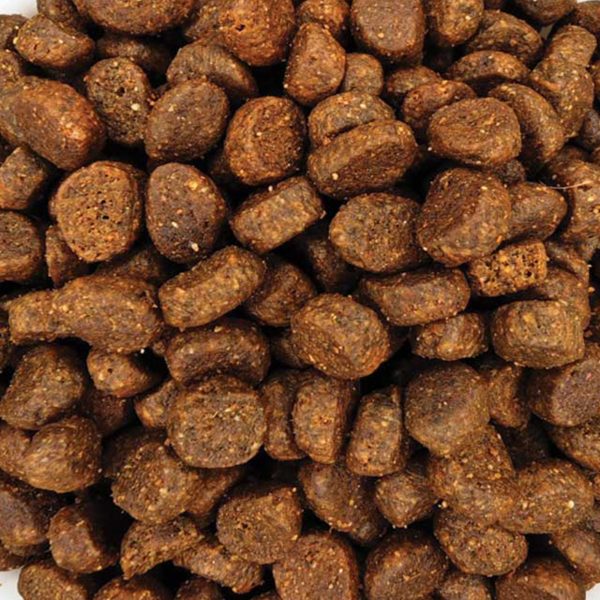 Leonardo Adult Cat Fish & Rice (Χύμα - τιμή/kg)