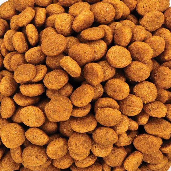 Royal Canin Regular Cat Sterilised (Χύμα - τιμή/kg)