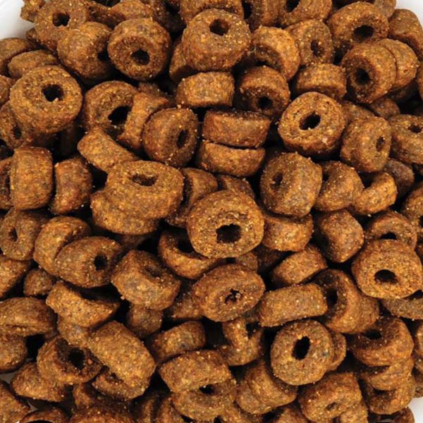 Leonardo Adult Complete 32/16 (Χύμα - τιμή/kg)