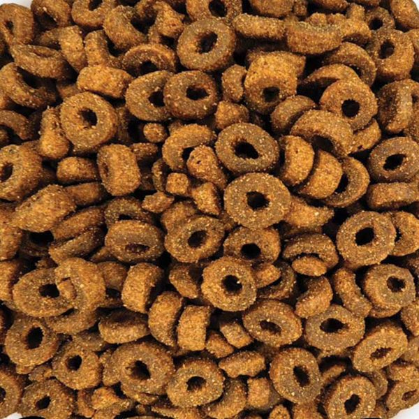 Best Pet Adult Cat Sterilised with Salmon (Σολομός) (Χύμα - τιμή/kg)