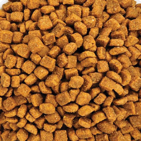 Gemon Cat Urinary with Chicken (Κοτόπουλο) (Χύμα - τιμή/kg)