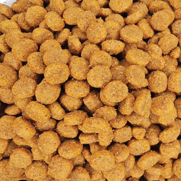 Maya Family Kedis Sterilised Cat Fish (Ψάρι) (Χύμα - τιμή/kg)