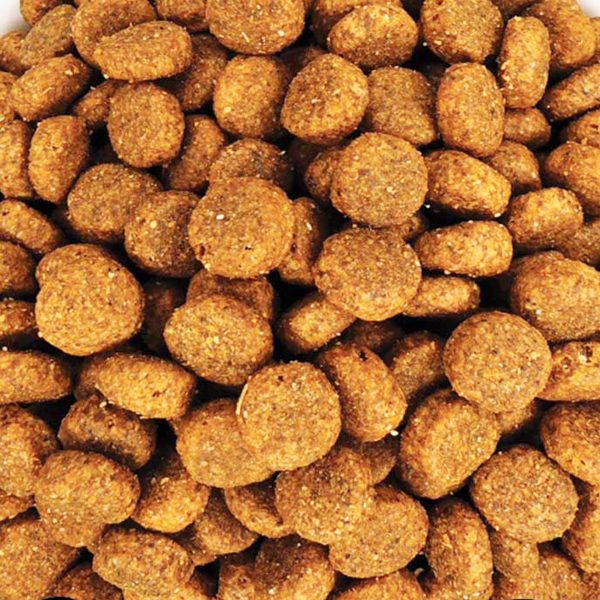 Felifor Sterilised Adult Cat Food with Poultry (Πουλερικά) (Χύμα - τιμή/kg)