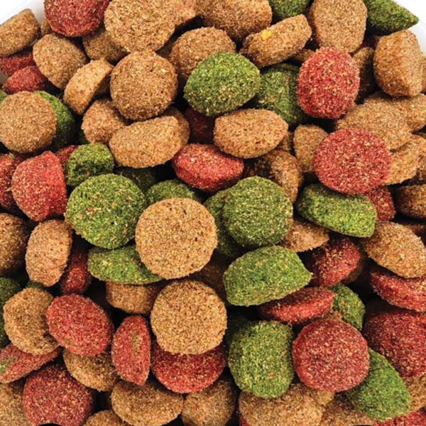 Bono Adult Dog with Chicken (Κοτόπουλο) (Multicolor) (Χύμα - τιμή/kg)