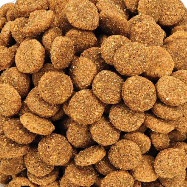 Προσφορά του Μήνα: Bedog Vital 23/10 with Chicken (Κοτόπουλο) Light (Χύμα - τιμή/kg)