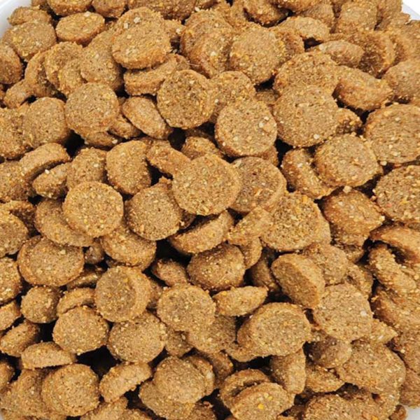 Cennamo Prestige Cat Sterilised with Salmon (Σολομός) (Χύμα - τιμή/kg)