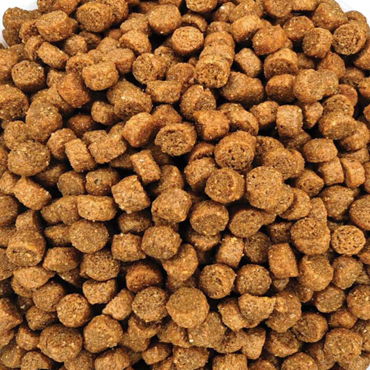 1 Cennamo Prestige Cat Kitten with Chicken (Κοτόπουλο) (Χύμα - τιμή/kg) - Image 1