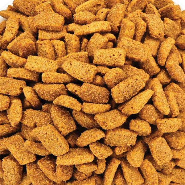 Super Premium Food for Sterilised Cat with Turkey (Γαλοπούλα) (Χύμα - τιμή/kg)