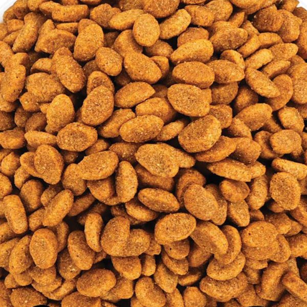 Trendline Adult Cat with Chicken (Κοτόπουλο) (Χύμα - τιμή/kg)