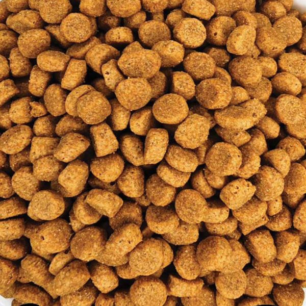 ProChoice Pro 35 Hypoallergenic Adult Sterilised Duck & Rice (Πάπια & Ρύζι) (Χύμα - τιμή/kg)