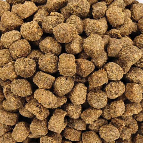 Holistic Gluten Free Light Small Breed Food for Adult Dog with Poultry (με Πουλερικά) (Χύμα - τιμή/kg)