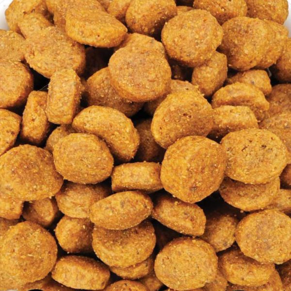 Super Premium Light Food for Adult Dog with Turkey - Apple - Cranberry (Γαλοπούλα - Μήλο - Cranberry) (Χύμα - τιμή/kg)