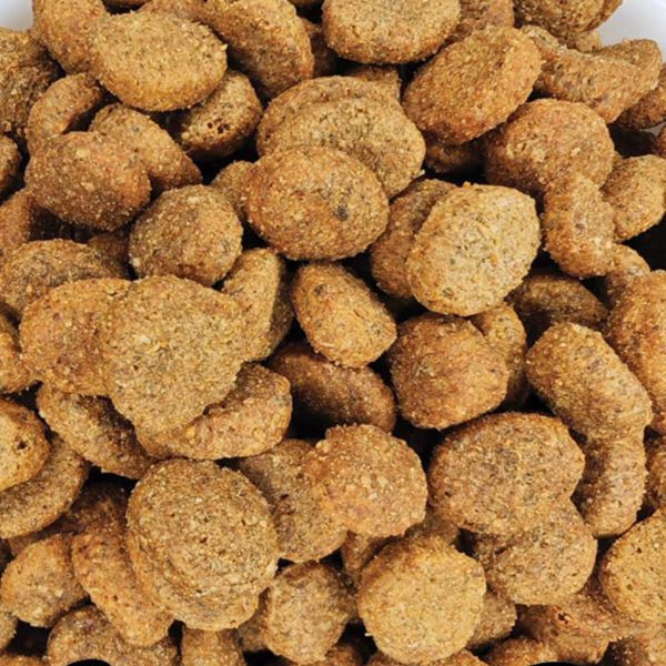 Europremium Adult Sterilised Dog Grain Free with Chicken (Κοτόπουλο) (Χύμα - τιμή/kg)