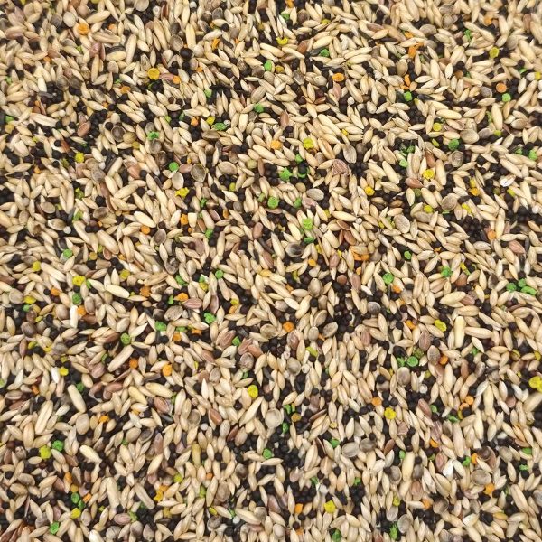 Versele-Laga Prestige Canary Special Κελαϊδίνη για Καναρίνια (Χύμα - τιμή/kg)
