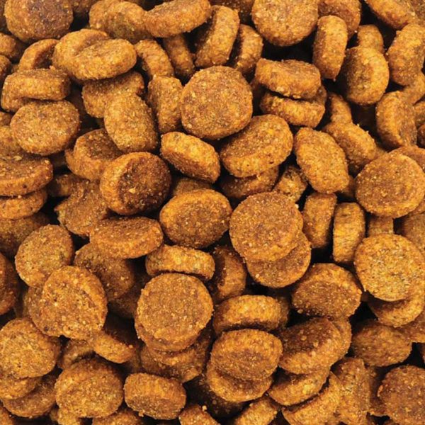 Gastrointestinal Veterinary Diet for Dog with Chicken (Κοτόπουλο) (Χύμα - τιμή/kg)