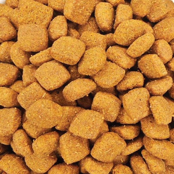 Veterinary Diet Diabetic Dog Food (Χύμα - τιμή/kg)