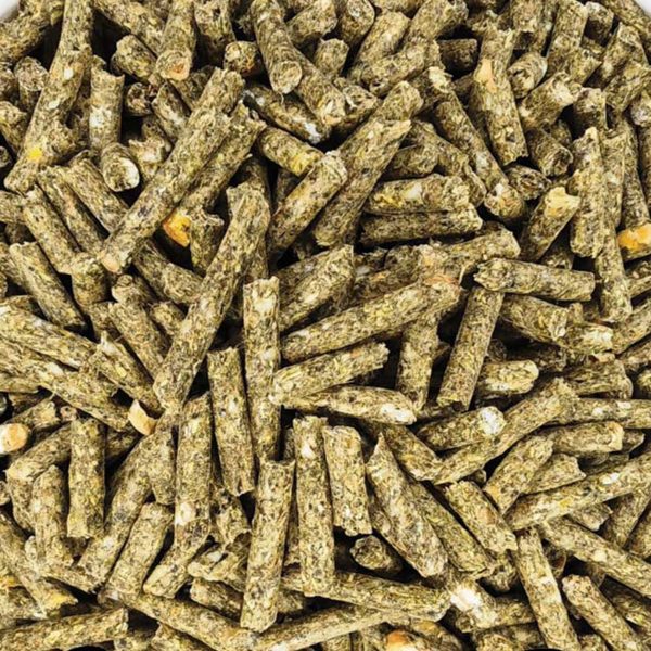 Απλή Κουνελίνη (Χύμα - τιμή/kg)