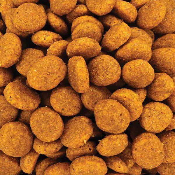 Veterinary Diet Cardiac Dog Food (Χύμα - τιμή/kg)