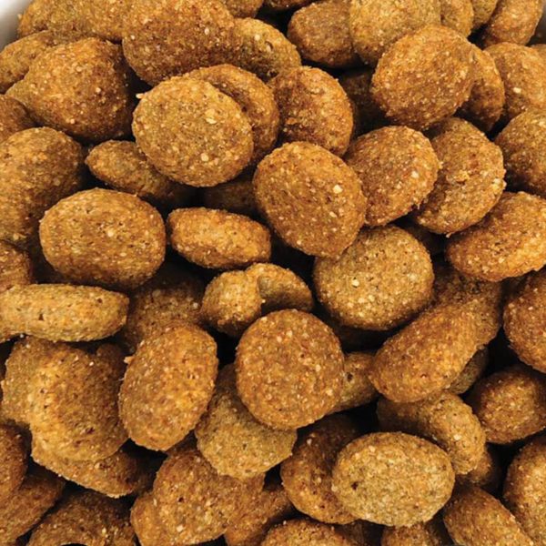Veterinary Diet Intestinal Dog Food for All Breeds (Χύμα - τιμή/kg)